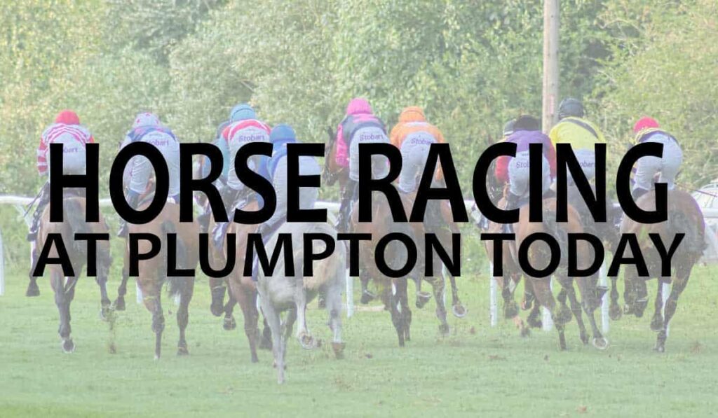 Horse Racing At Plumpton Today