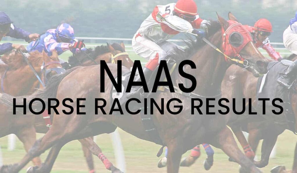 Naas Horse Racing Results
