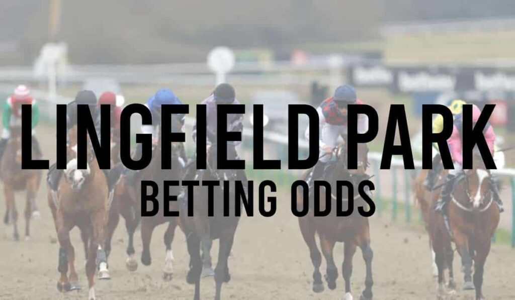 Lingfield Park Betting Odds