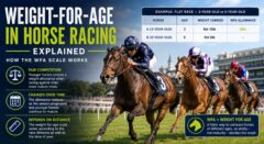 Weight-for-Age in Horse Racing 71 Weight-for-Age in Horse Racing