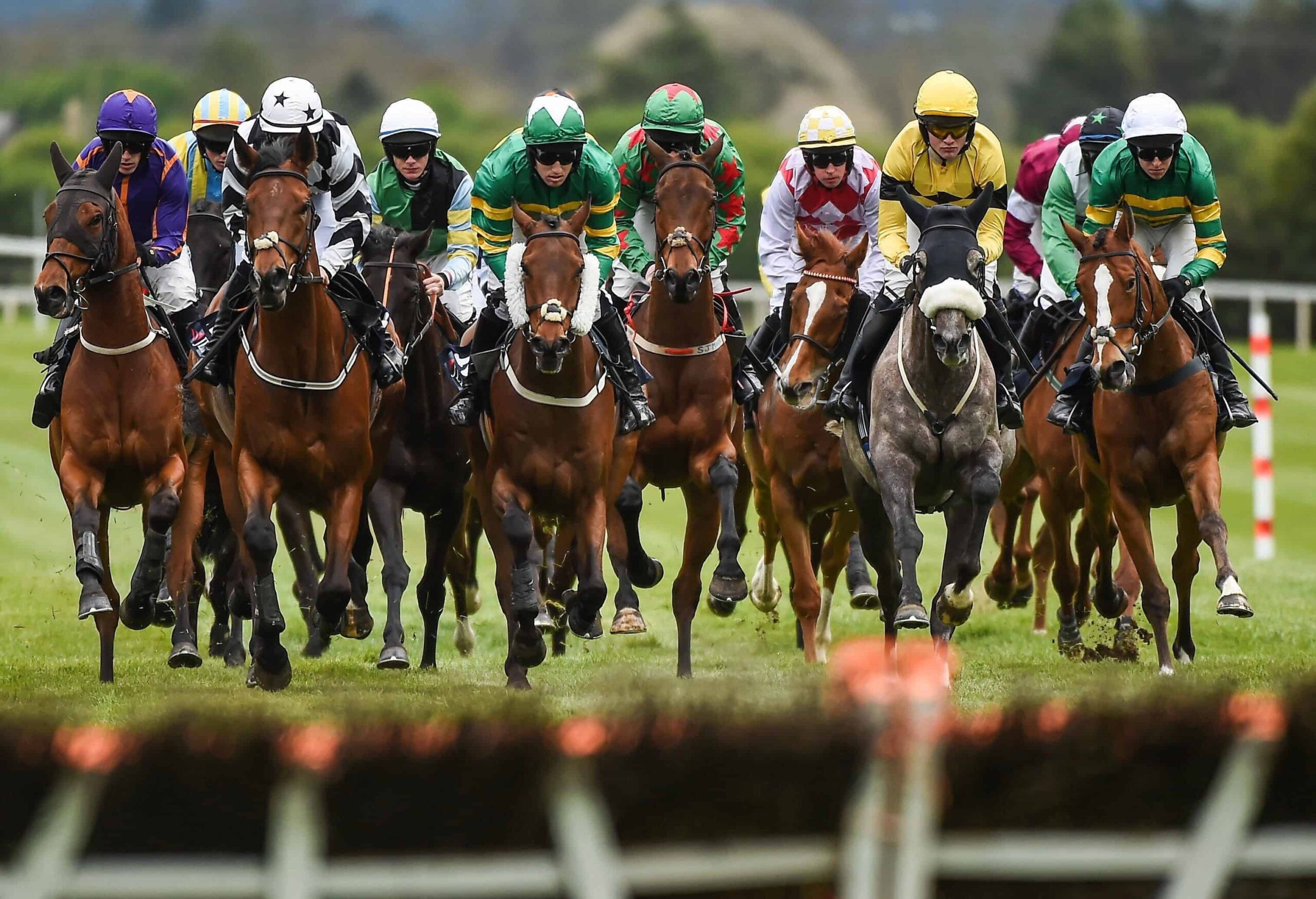Horse Racing Betting & Odds